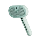 Steam Spray Dog Grooming Brush