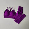 Seamless High-Waisted Yoga Suit